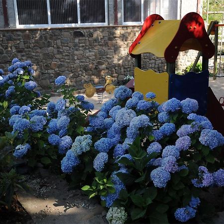 Hotel Gomar San Martin de Moncayo Екстер'єр фото